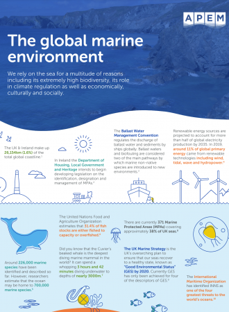 The global marine environment PDF preview