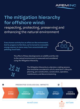 APEM INC Mitigation Hierarchy Infographic thumbnail